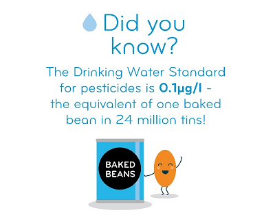 Did you know