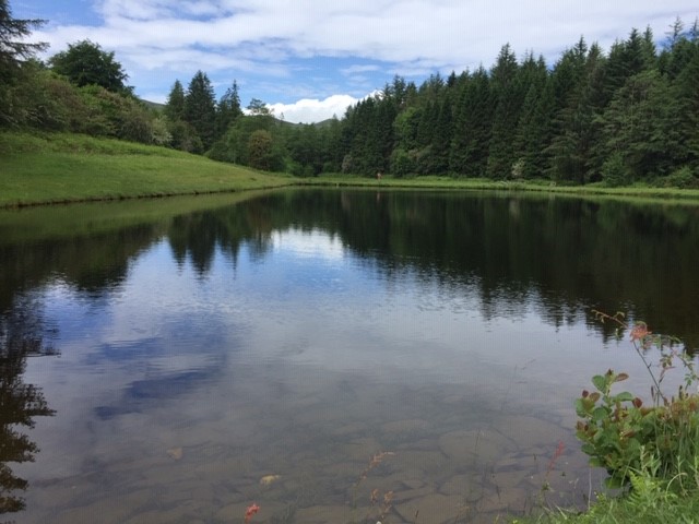 Cilcain Reservoir