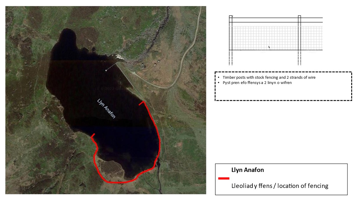 Llyn Anafon
