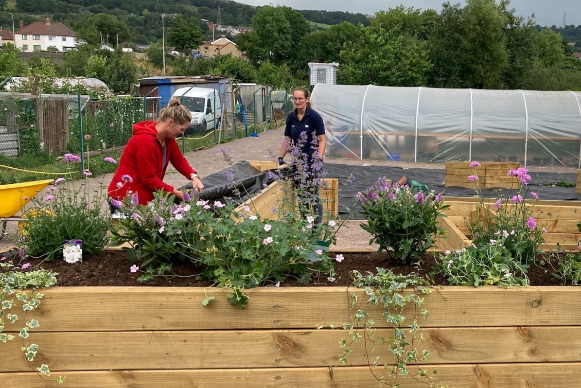 Meadow Street Community Garden image