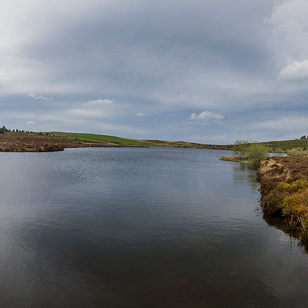 Llyn Bran